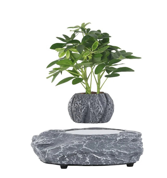 MarbleStone – Levitating Plant Pot with Sculpted Stone Base | StoneForm Collection