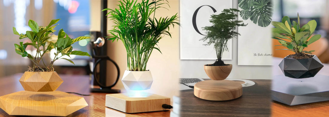 Discover the Magic of Floating Plants: Transform Your Home with ikdecor