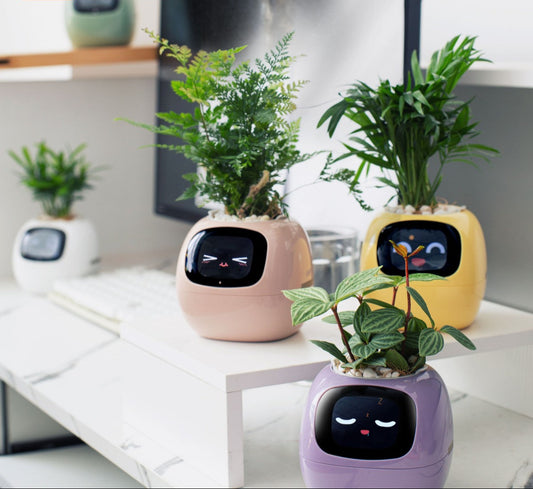 Smart Flower Pot with Virtual Pet – Interactive Self-Watering Planter for Indoor Plants