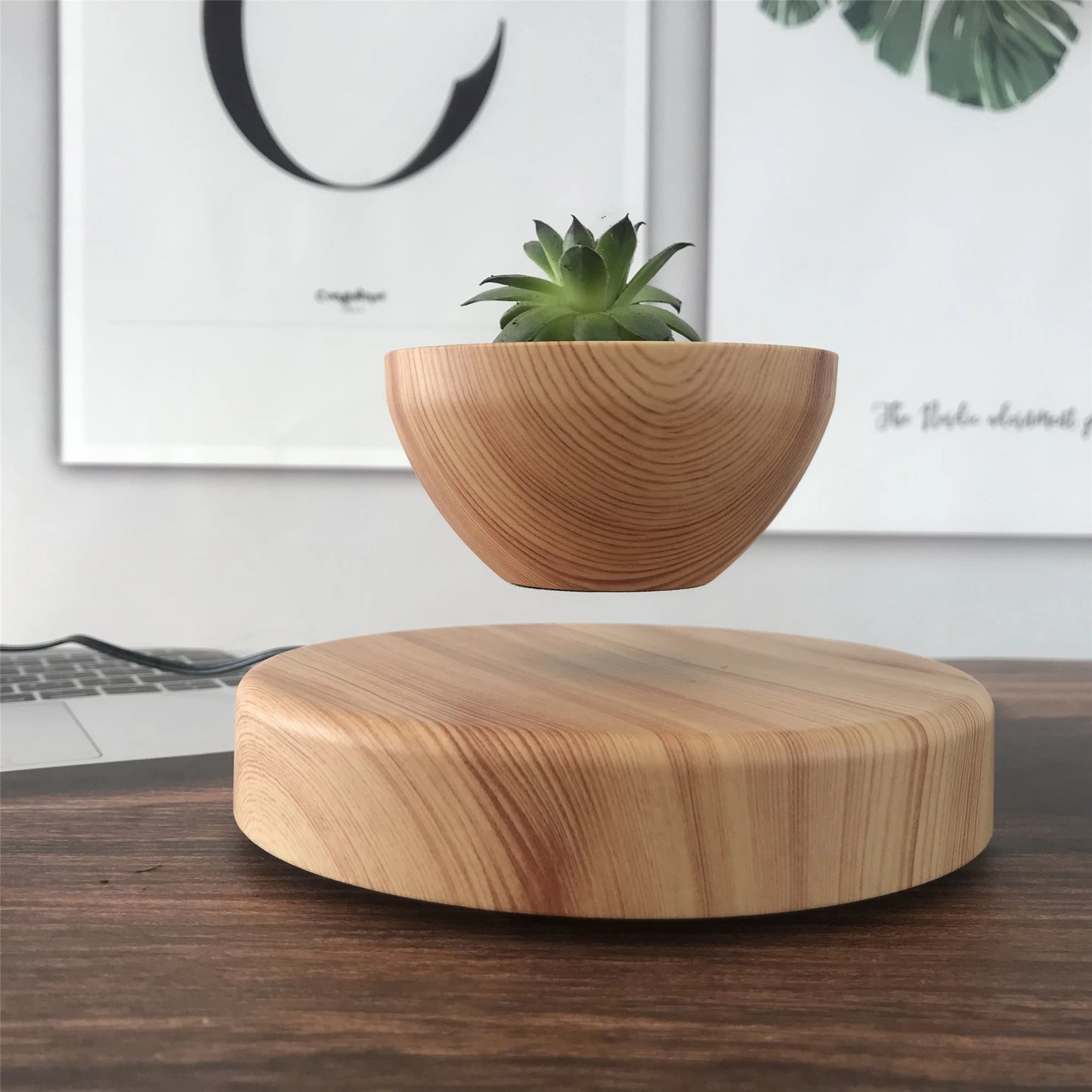 Levitating Magnetic Plant Pot – Floating Bonsai Planter