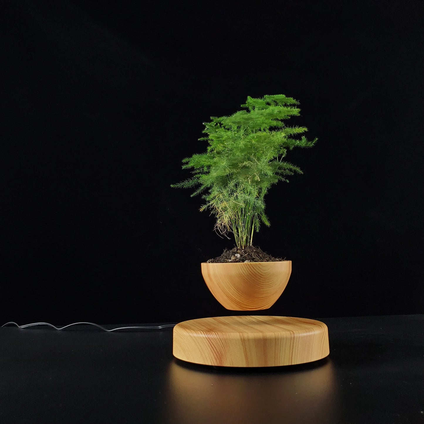 Levitating Magnetic Plant Pot – Floating Bonsai Planter