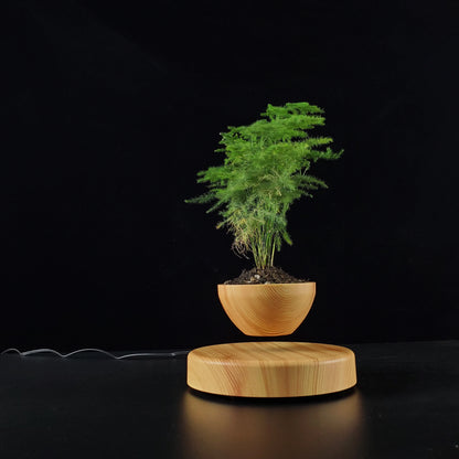 Levitating Magnetic Plant Pot – Floating Bonsai Planter