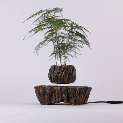 Levitating Bonsai Plant Holder – Perfect Home & Office Decor Gift