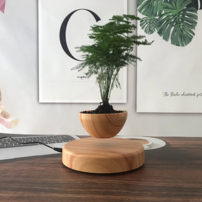 Levitating Magnetic Plant Pot – Floating Bonsai Planter