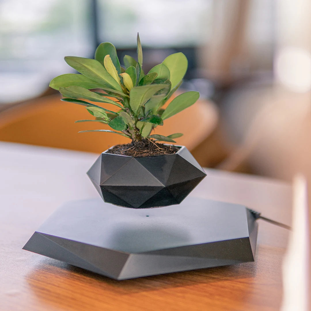 Levitating Air Bonsai Pot – Floating Suspension Planter