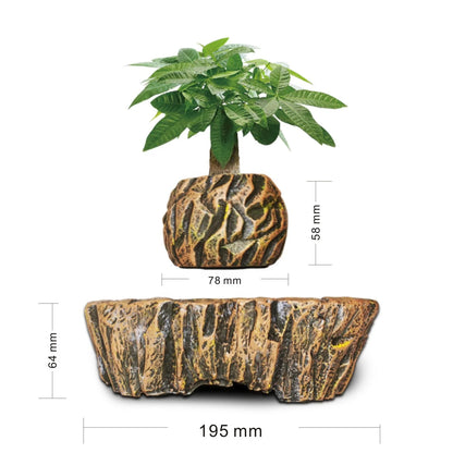 Levitating Bonsai Plant Holder – Perfect Home & Office Decor Gift