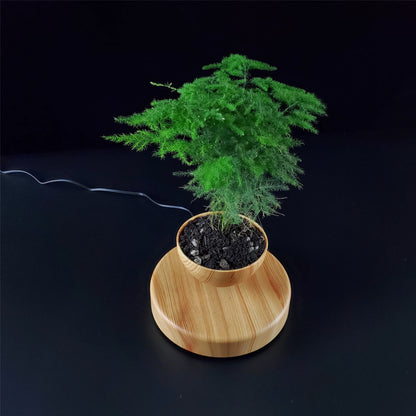 Levitating Magnetic Plant Pot – Floating Bonsai Planter