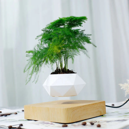 Rotating Levitating Bonsai Pot – Magnetic Floating Planter