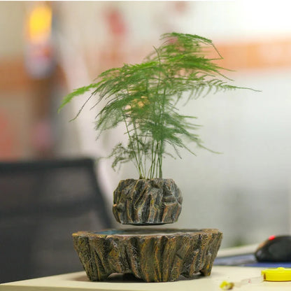 Levitating Bonsai Plant Holder – Perfect Home & Office Decor Gift