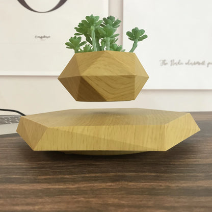 Air Bonsai Floating Plant Pot – Simple Style Home Decor