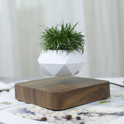 Floating Bonsai Pot – Creative Air Plant Holder