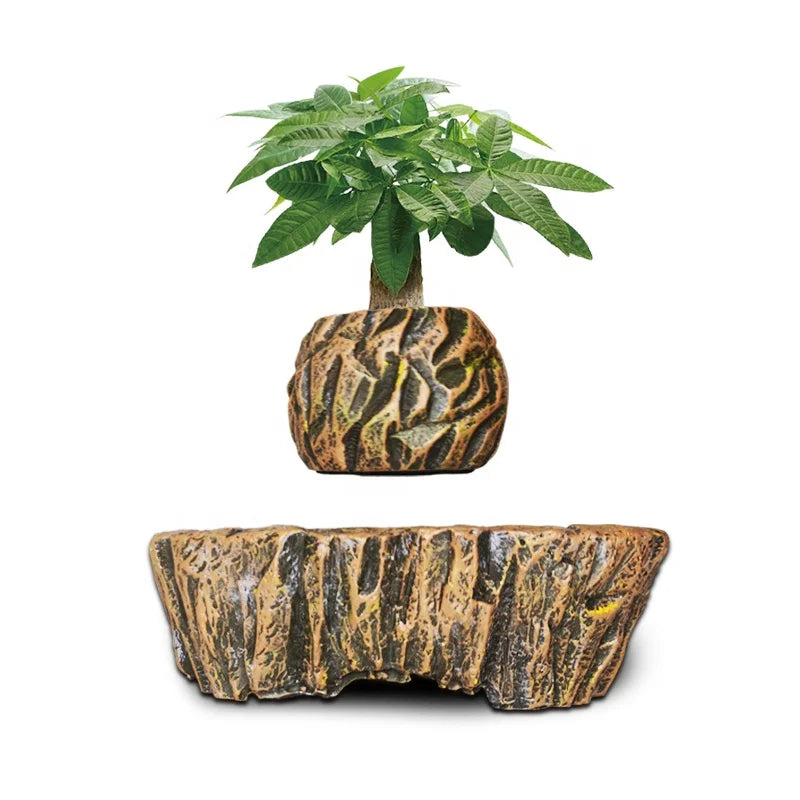 Levitating Bonsai Plant Holder – Perfect Home & Office Decor Gift