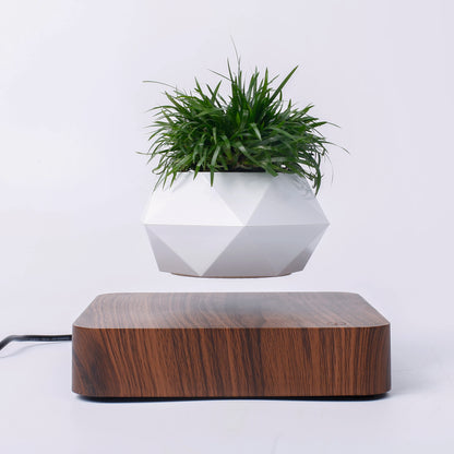 Floating Bonsai Pot – Creative Air Plant Holder