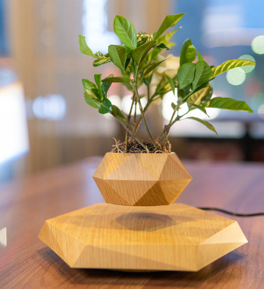 Air Bonsai Floating Plant Pot – Simple Style Home Decor