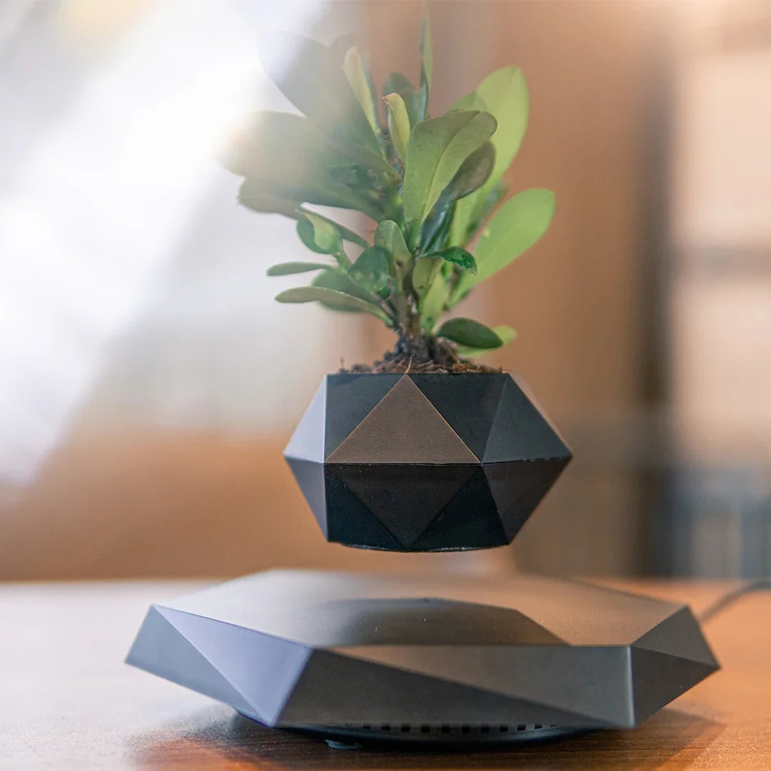 Levitating Air Bonsai Pot – Floating Suspension Planter