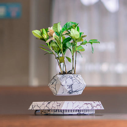 Wooden Levitating Bonsai Pot – Floating Plant Holder