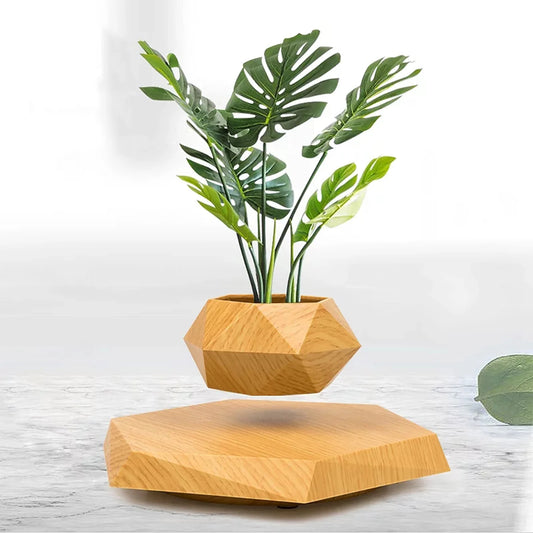 Wooden Levitating Bonsai Pot – Floating Plant Holder