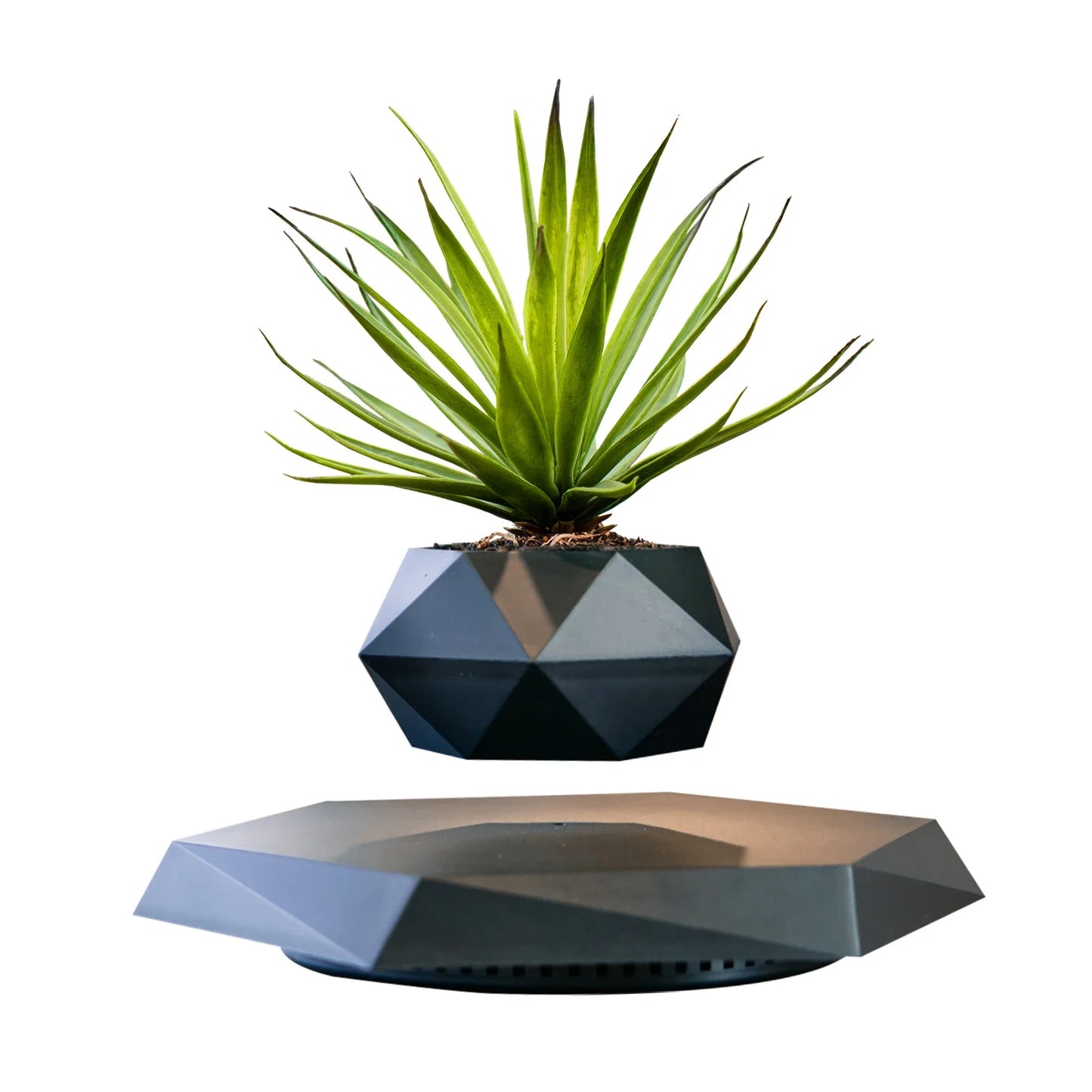 Levitating Air Bonsai Pot – Floating Suspension Planter