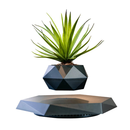 Levitating Air Bonsai Pot – Floating Suspension Planter