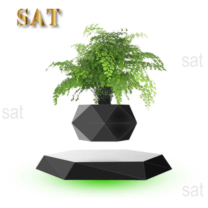 Air Bonsai Floating Plant Pot – Simple Style Home Decor