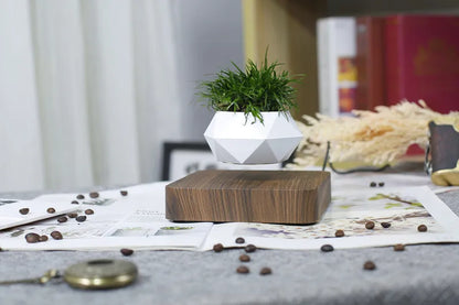 Floating Bonsai Pot – Creative Air Plant Holder