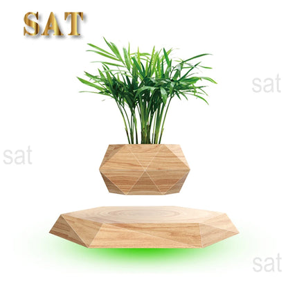 Air Bonsai Floating Plant Pot – Simple Style Home Decor