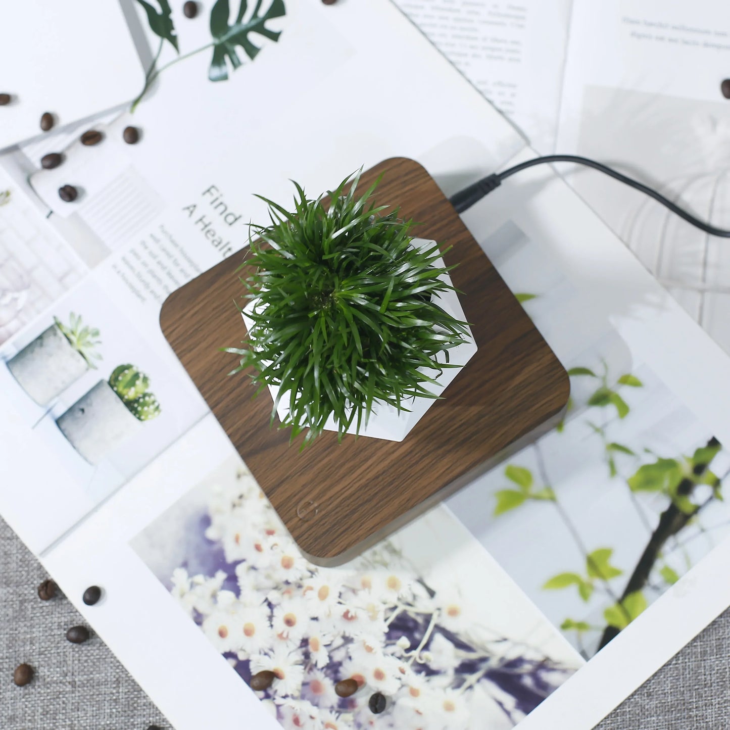 Floating Bonsai Pot – Creative Air Plant Holder