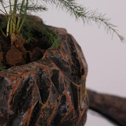 Levitating Bonsai Plant Holder – Perfect Home & Office Decor Gift