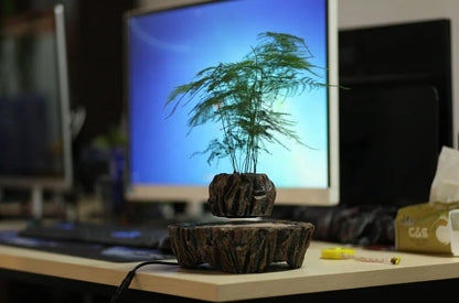 Levitating Bonsai Plant Holder – Perfect Home & Office Decor Gift