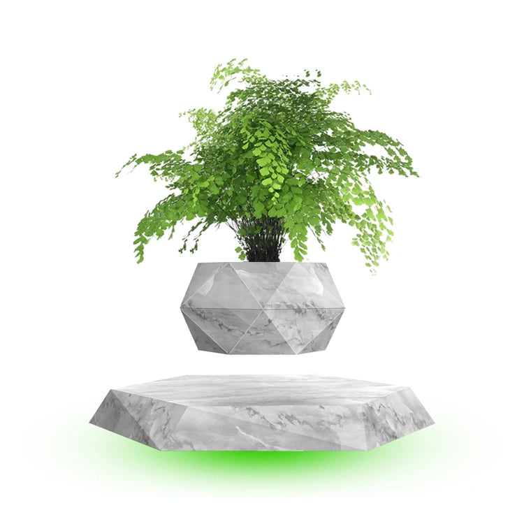 Levitating Air Bonsai Pot – Floating Suspension Planter