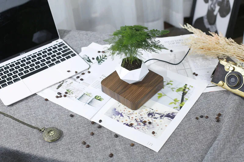 Floating Bonsai Pot – Creative Air Plant Holder