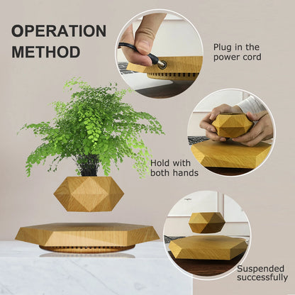 Wooden Levitating Bonsai Pot – Floating Plant Holder