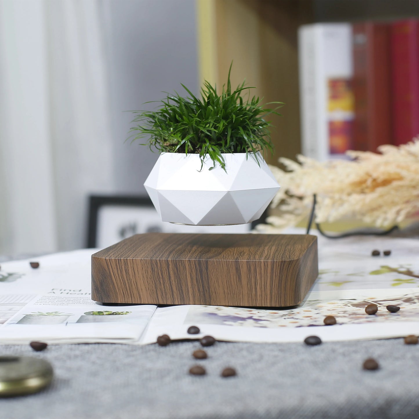 Floating Bonsai Pot – Creative Air Plant Holder