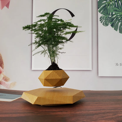 Air Bonsai Floating Plant Pot – Simple Style Home Decor